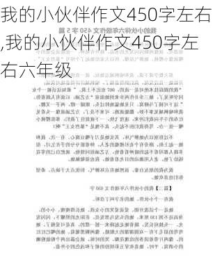 我的小伙伴作文450字左右,我的小伙伴作文450字左右六年级