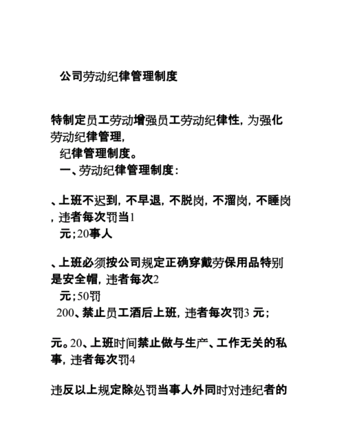 公司管理规章制度,劳务公司管理规章制度