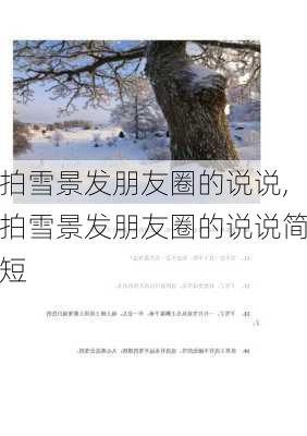 拍雪景发朋友圈的说说,拍雪景发朋友圈的说说简短