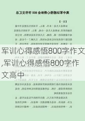 军训心得感悟800字作文,军训心得感悟800字作文高中