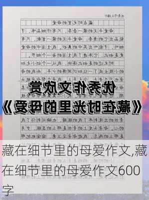 藏在细节里的母爱作文,藏在细节里的母爱作文600字