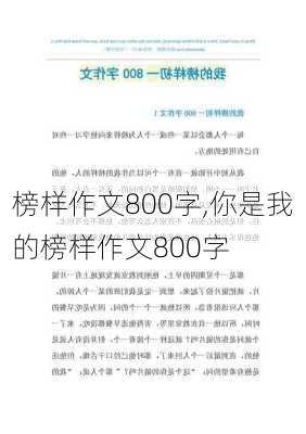 榜样作文800字,你是我的榜样作文800字