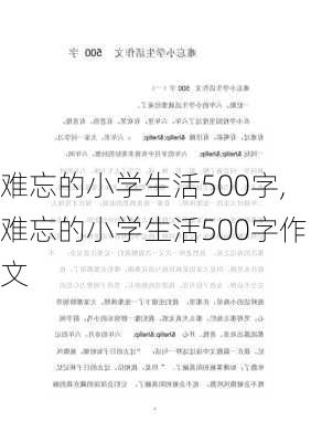 难忘的小学生活500字,难忘的小学生活500字作文