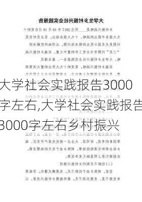 大学社会实践报告3000字左右,大学社会实践报告3000字左右乡村振兴