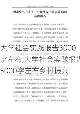 大学社会实践报告3000字左右,大学社会实践报告3000字左右乡村振兴