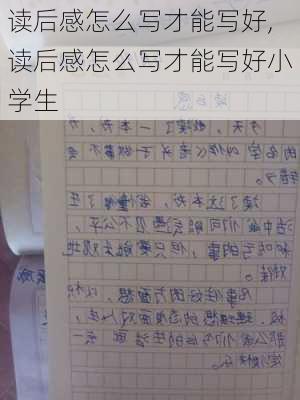 读后感怎么写才能写好,读后感怎么写才能写好小学生