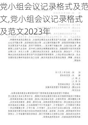 党小组会议记录格式及范文,党小组会议记录格式及范文2023年