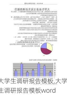 大学生调研报告模板,大学生调研报告模板word