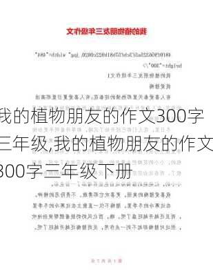 我的植物朋友的作文300字三年级,我的植物朋友的作文300字三年级下册