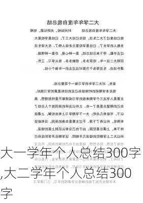 大一学年个人总结300字,大二学年个人总结300字