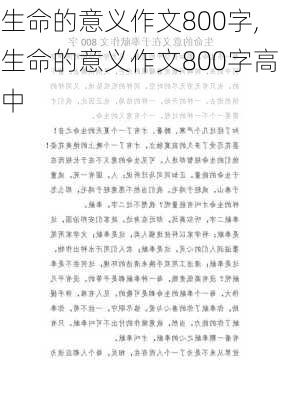 生命的意义作文800字,生命的意义作文800字高中