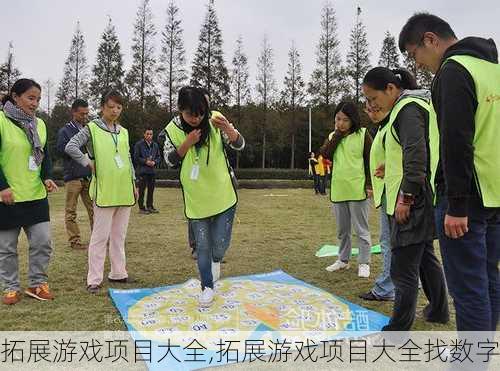 拓展游戏项目大全,拓展游戏项目大全找数字