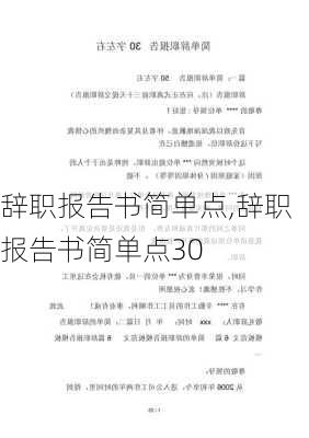 辞职报告书简单点,辞职报告书简单点30