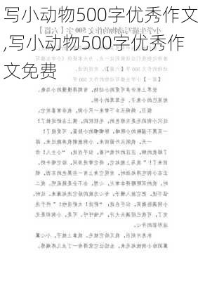 写小动物500字优秀作文,写小动物500字优秀作文免费