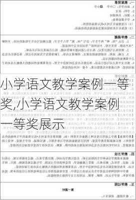 小学语文教学案例一等奖,小学语文教学案例一等奖展示