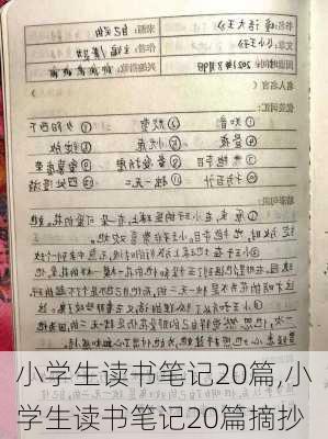 小学生读书笔记20篇,小学生读书笔记20篇摘抄