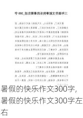 暑假的快乐作文300字,暑假的快乐作文300字左右