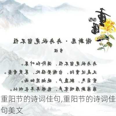 重阳节的诗词佳句,重阳节的诗词佳句美文