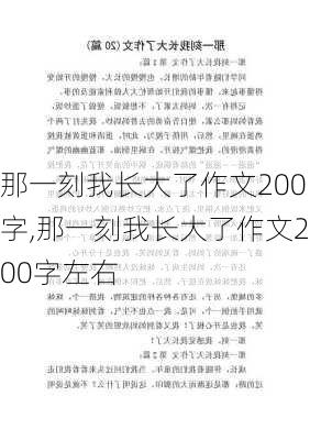 那一刻我长大了作文200字,那一刻我长大了作文200字左右