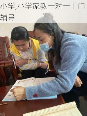 小学,小学家教一对一上门辅导