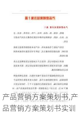 产品营销方案策划书,产品营销方案策划书实训