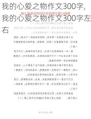 我的心爱之物作文300字,我的心爱之物作文300字左右