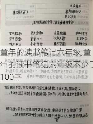 童年的读书笔记六年级,童年的读书笔记六年级不少于100字