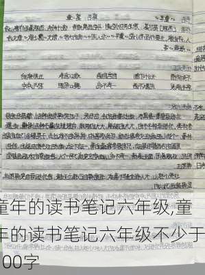 童年的读书笔记六年级,童年的读书笔记六年级不少于100字