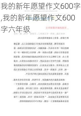 我的新年愿望作文600字,我的新年愿望作文600字六年级