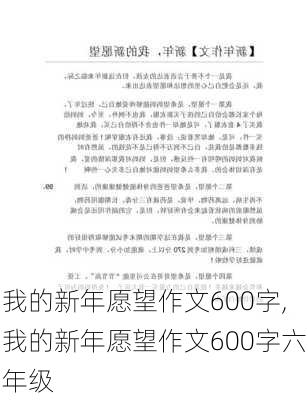 我的新年愿望作文600字,我的新年愿望作文600字六年级