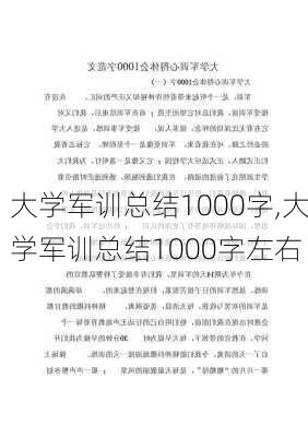 大学军训总结1000字,大学军训总结1000字左右