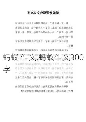 蚂蚁 作文,蚂蚁作文300字