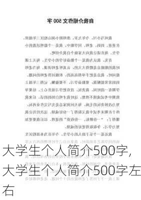 大学生个人简介500字,大学生个人简介500字左右