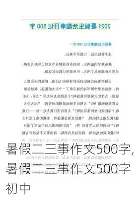 暑假二三事作文500字,暑假二三事作文500字 初中