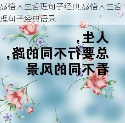 感悟人生哲理句子经典,感悟人生哲理句子经典语录