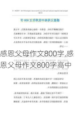 感恩父母作文800字,感恩父母作文800字高中