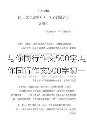 与你同行作文500字,与你同行作文500字初一