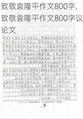 致敬袁隆平作文800字,致敬袁隆平作文800字议论文