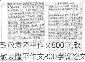 致敬袁隆平作文800字,致敬袁隆平作文800字议论文