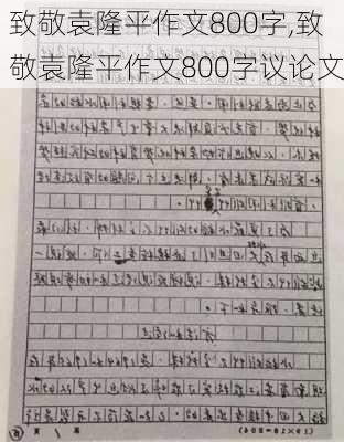 致敬袁隆平作文800字,致敬袁隆平作文800字议论文