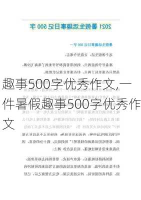 趣事500字优秀作文,一件暑假趣事500字优秀作文