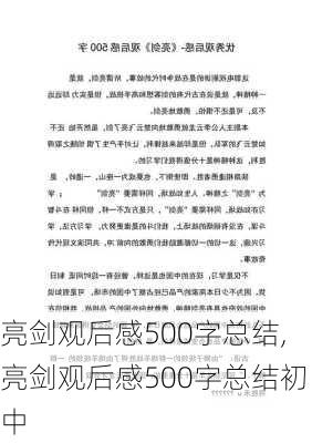 亮剑观后感500字总结,亮剑观后感500字总结初中