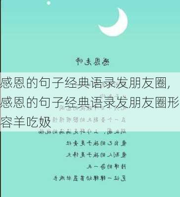 感恩的句子经典语录发朋友圈,感恩的句子经典语录发朋友圈形容羊吃㚫