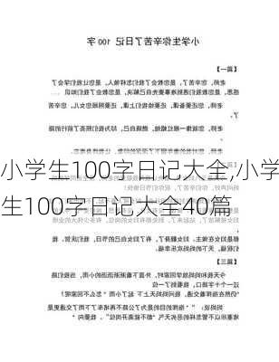 小学生100字日记大全,小学生100字日记大全40篇