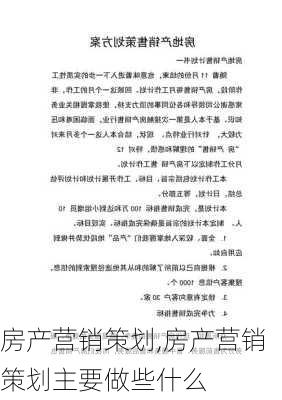 房产营销策划,房产营销策划主要做些什么