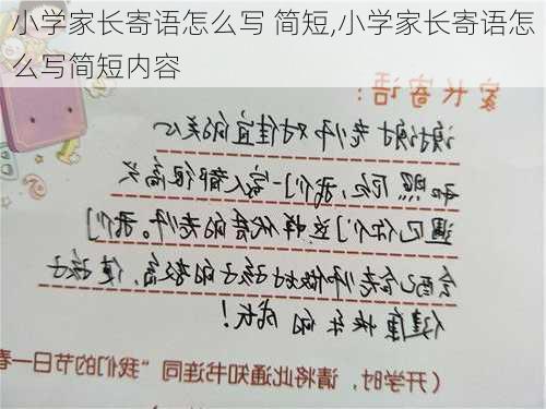 小学家长寄语怎么写 简短,小学家长寄语怎么写简短内容