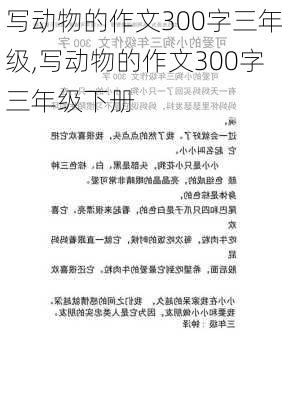 写动物的作文300字三年级,写动物的作文300字三年级下册