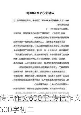 传记作文600字,传记作文600字初二