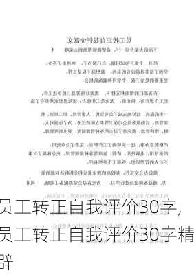 员工转正自我评价30字,员工转正自我评价30字精辟