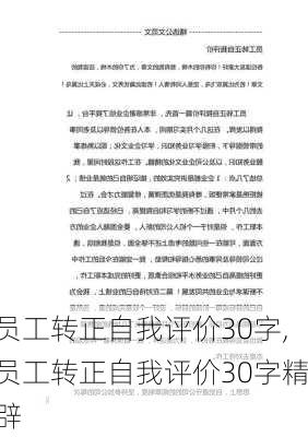 员工转正自我评价30字,员工转正自我评价30字精辟